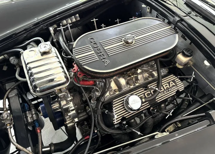 Cobra Other