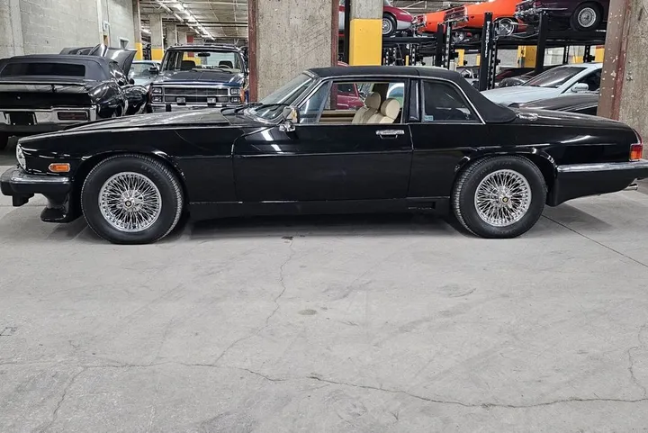 Jaguar Other