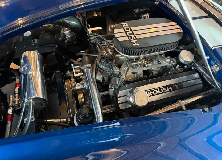 Cobra Other