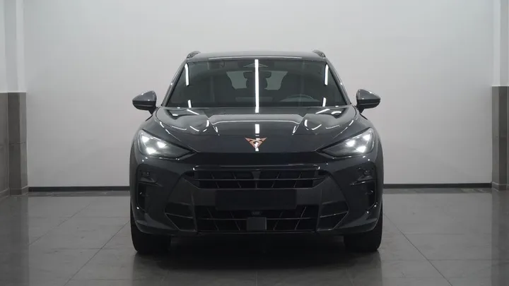 Cupra Terramar