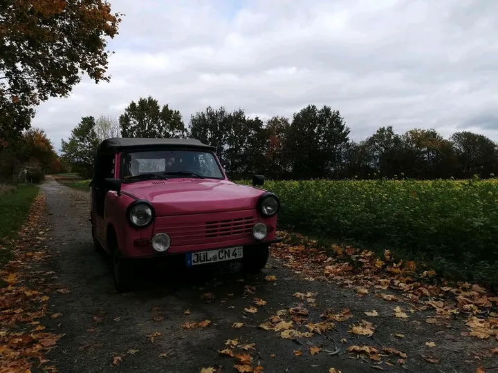 Trabant Other