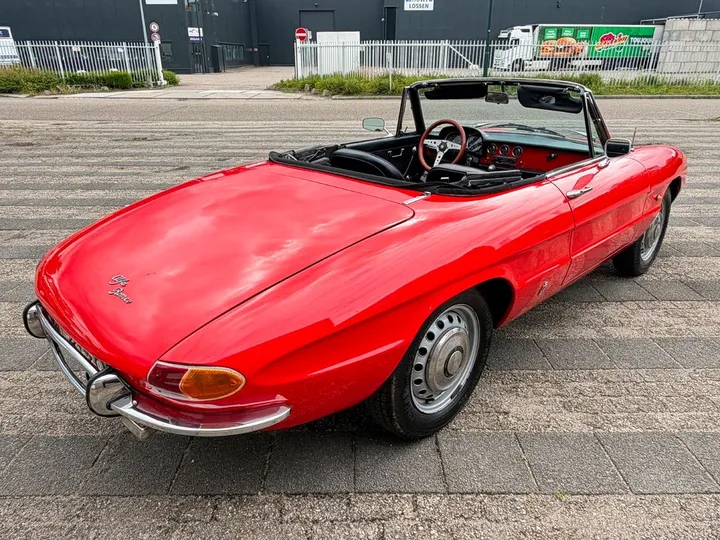 Alfa Romeo Spider