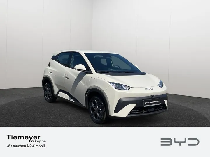BYD DOLPHIN SURF