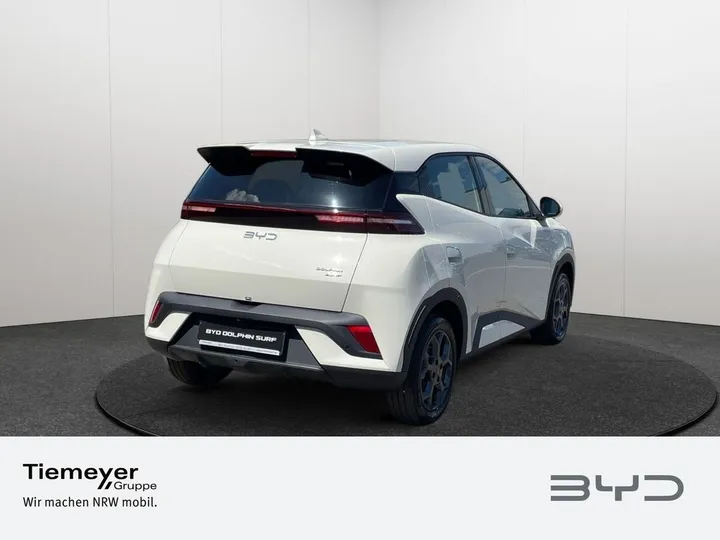 BYD DOLPHIN SURF