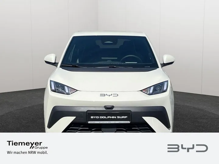 BYD DOLPHIN SURF