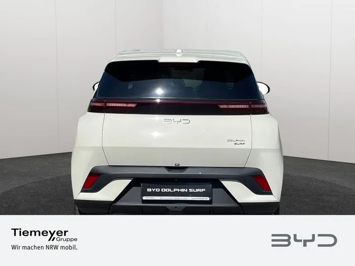 BYD DOLPHIN SURF