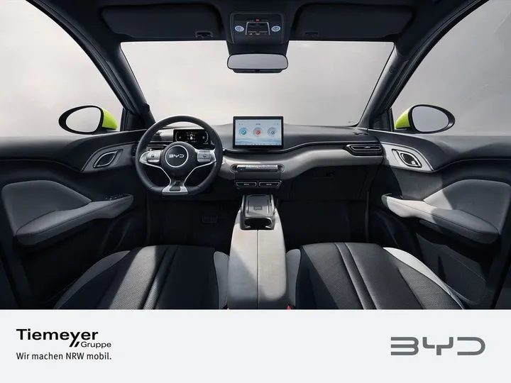 BYD DOLPHIN SURF