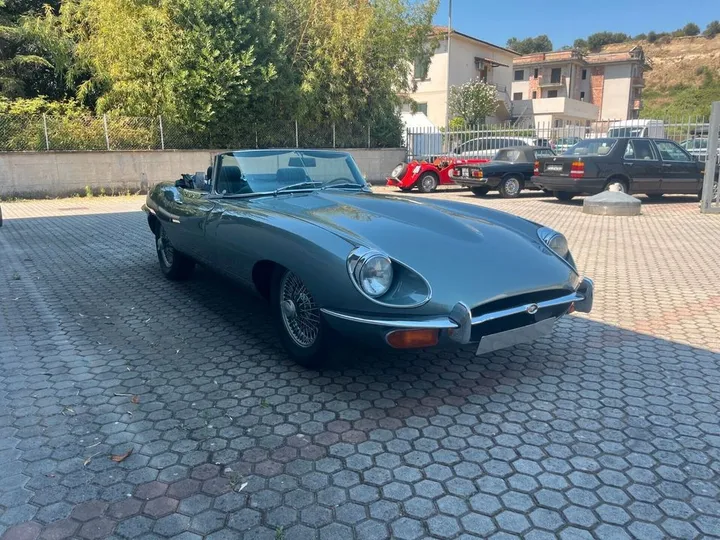 Jaguar Other