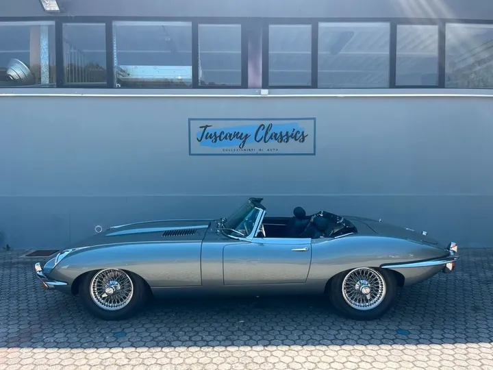 Jaguar Other