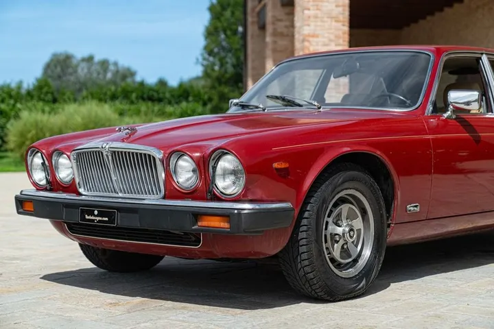 Jaguar Other