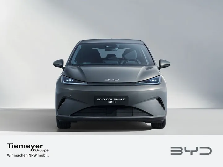 BYD DOLPHIN