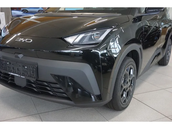 BYD DOLPHIN SURF