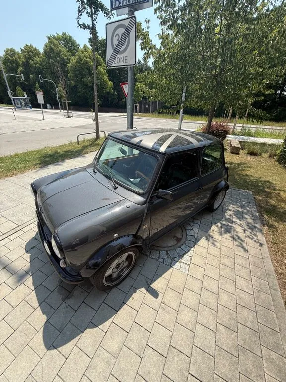 Rover Other