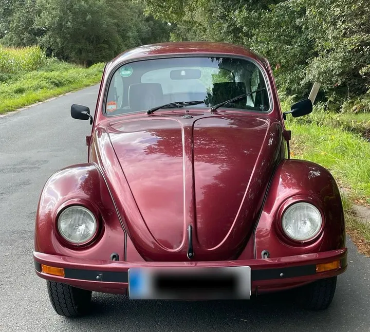 Volkswagen Other