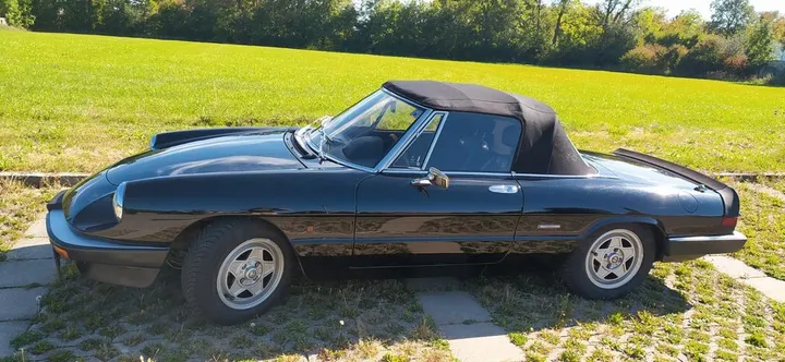 Alfa Romeo Spider