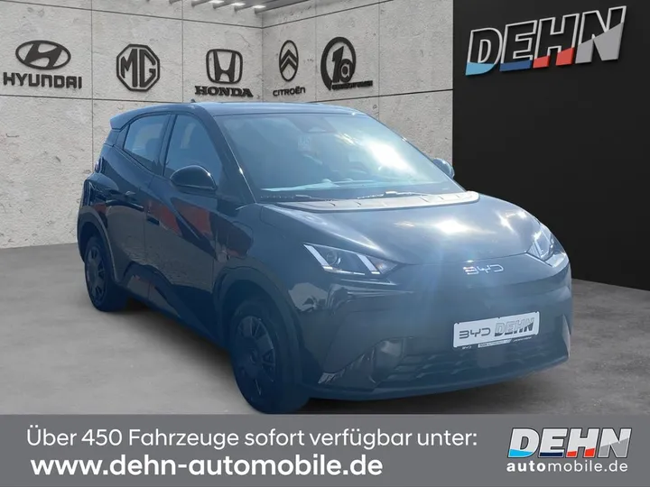 BYD DOLPHIN SURF