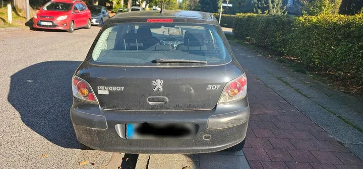 Peugeot 307
