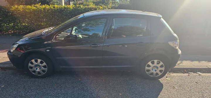 Peugeot 307