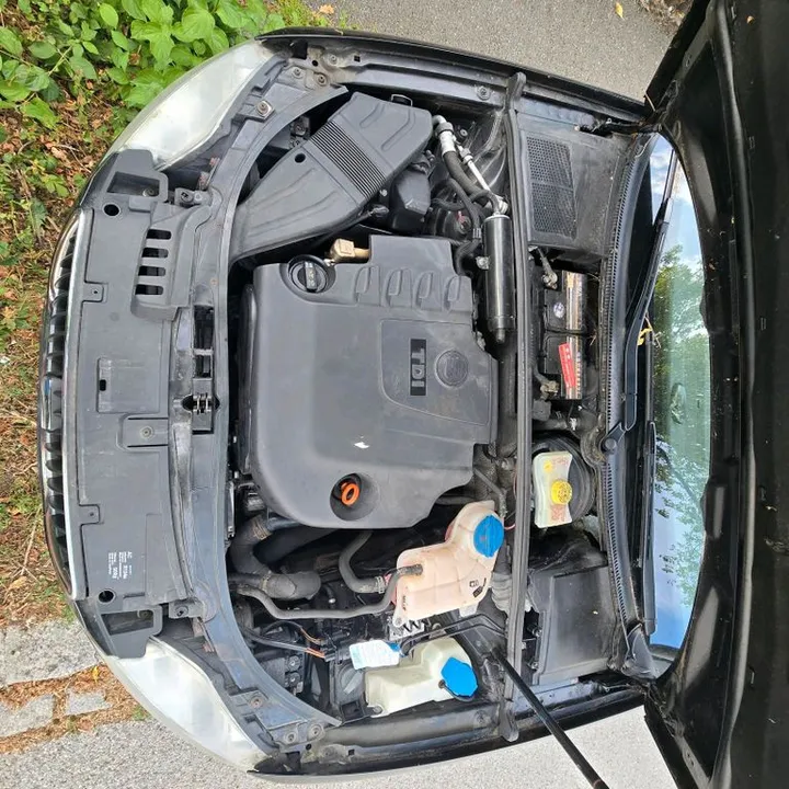 Seat Exeo