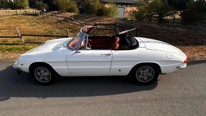 Alfa Romeo Spider