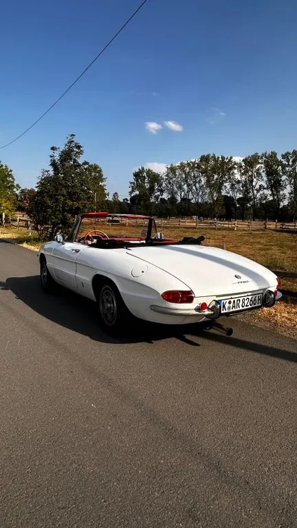 Alfa Romeo Spider