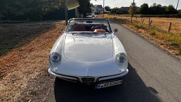 Alfa Romeo Spider