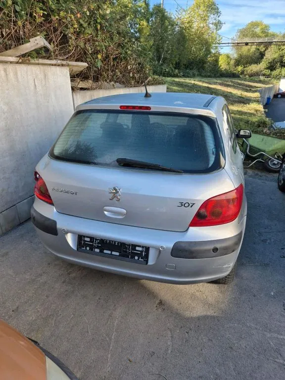 Peugeot 307