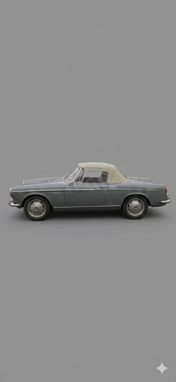 Fiat Other