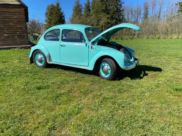 Volkswagen Käfer