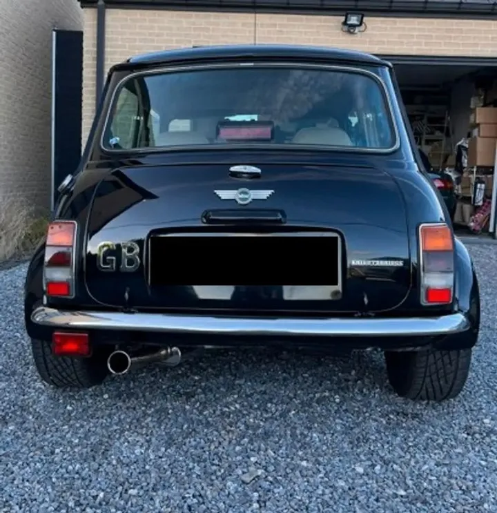 MINI 1300