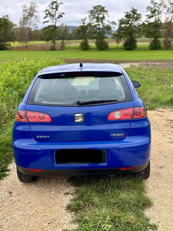 Seat Ibiza