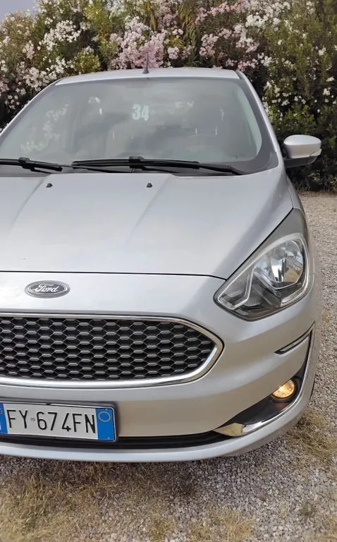 Ford Other