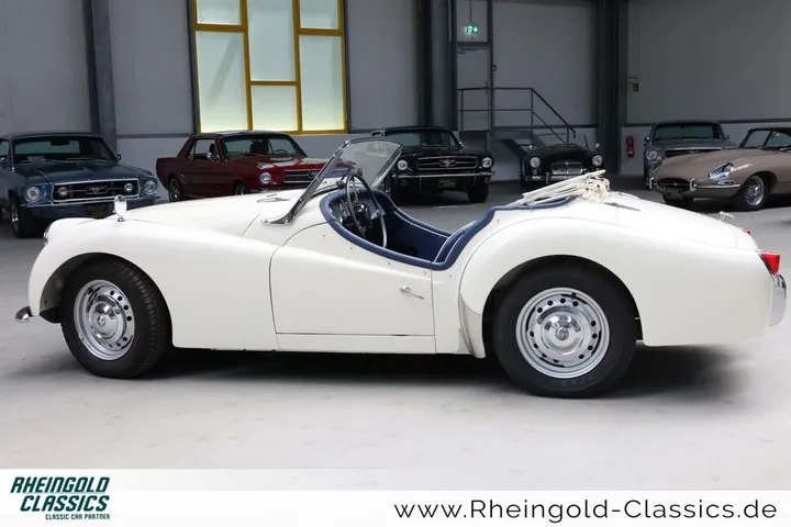 Triumph Other