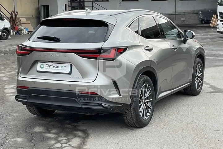 Lexus Other