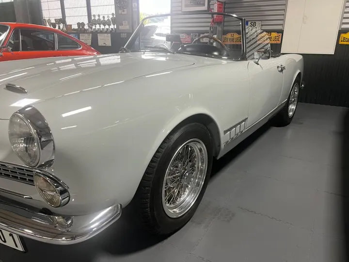 Alfa Romeo Spider