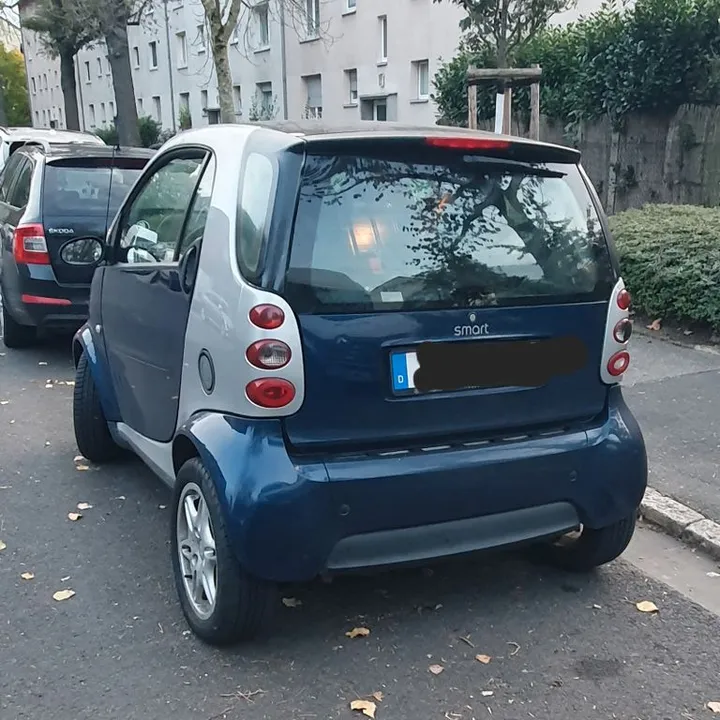Smart Other