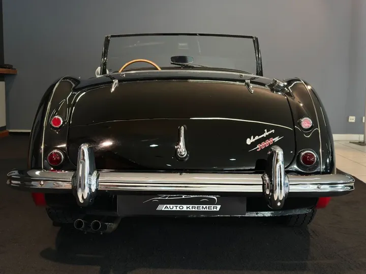 Austin Healey Other