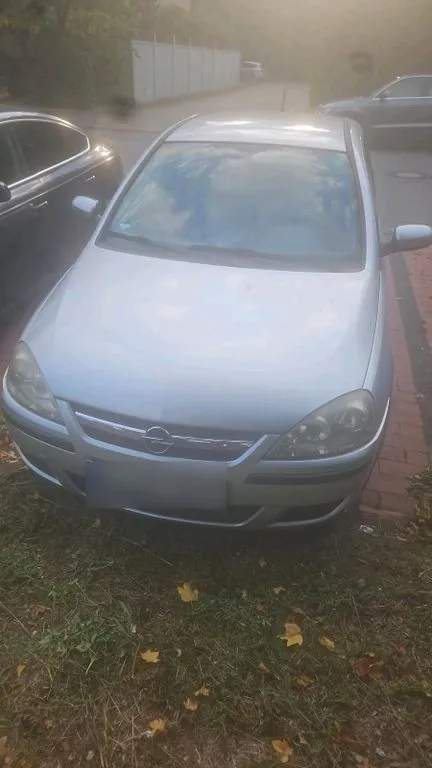 Opel Other