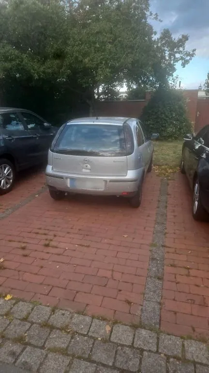 Opel Other