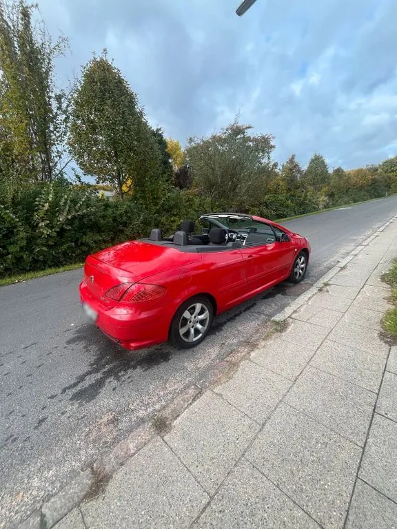 Peugeot 307