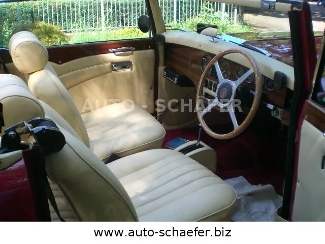 Jaguar Other