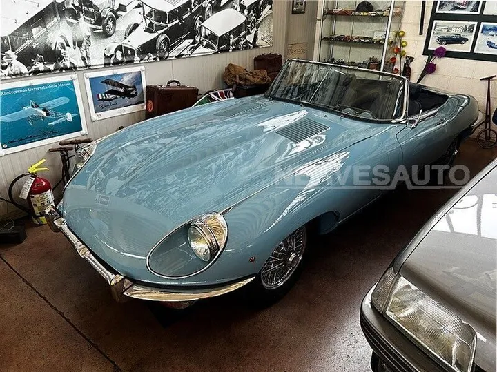 Jaguar Other