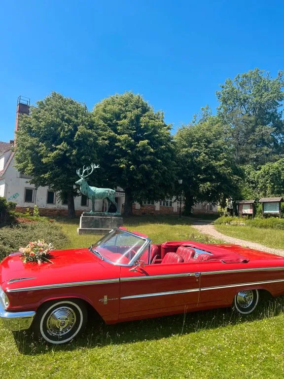 Ford Other