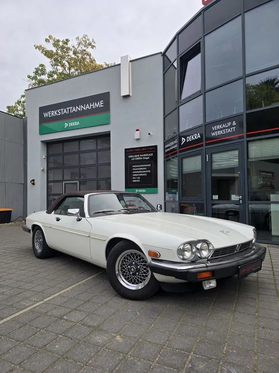 Jaguar Other