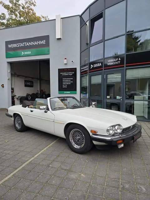 Jaguar Other