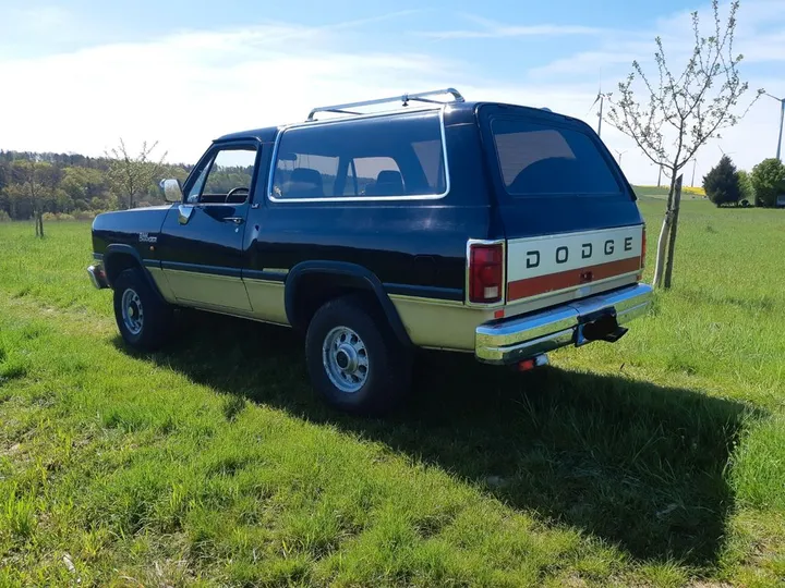 Dodge Other