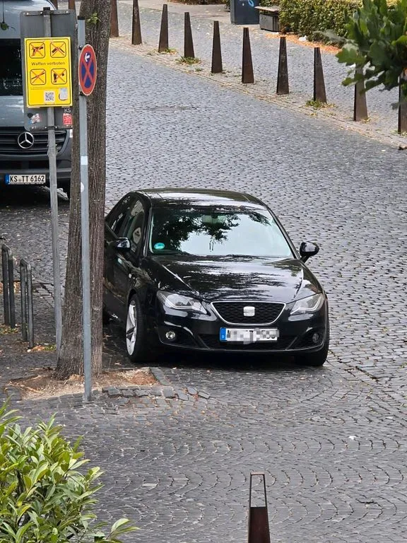 Seat Exeo