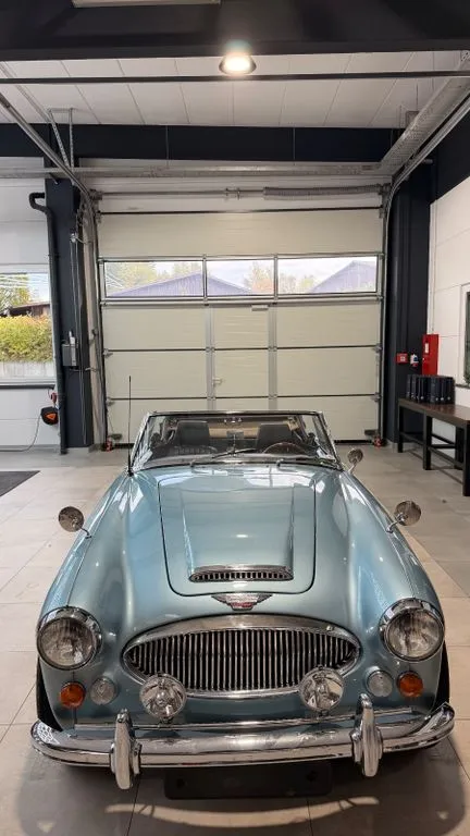 Austin Healey Other