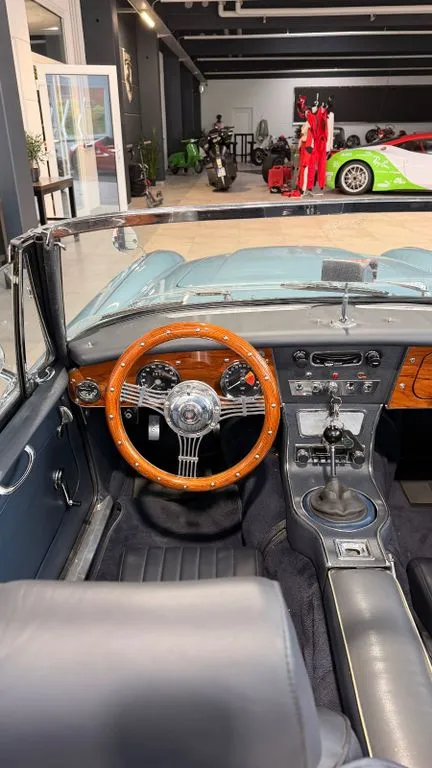 Austin Healey Other
