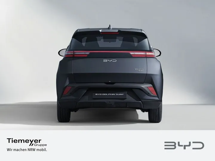 BYD DOLPHIN SURF